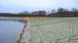 Completed GreenArmor and Willow Tree Seeding