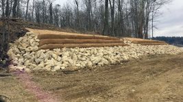 SR 542 Shoreline Restoration Project