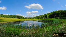 Wetlands Creation Project